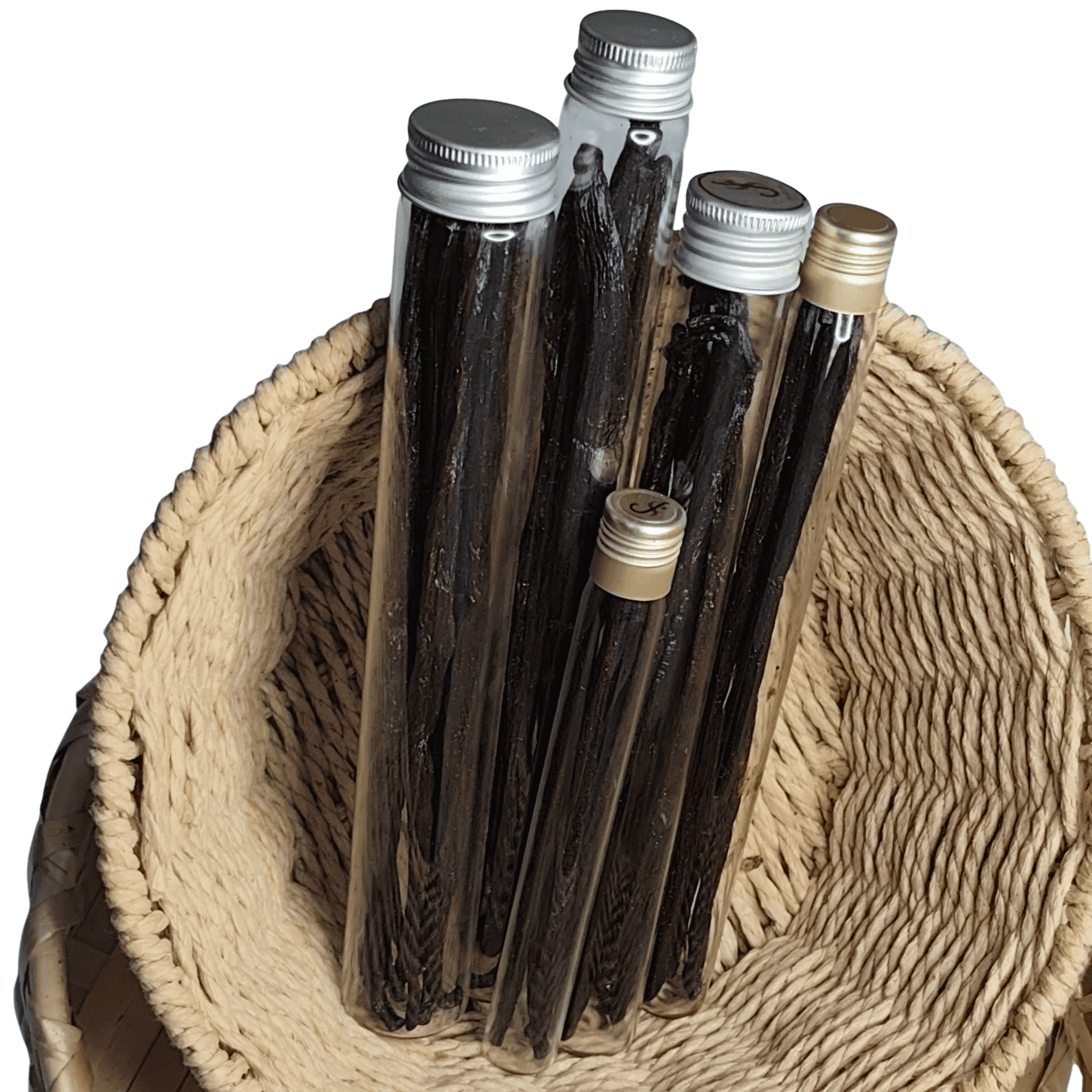 Gousses de vanille de Madagascar